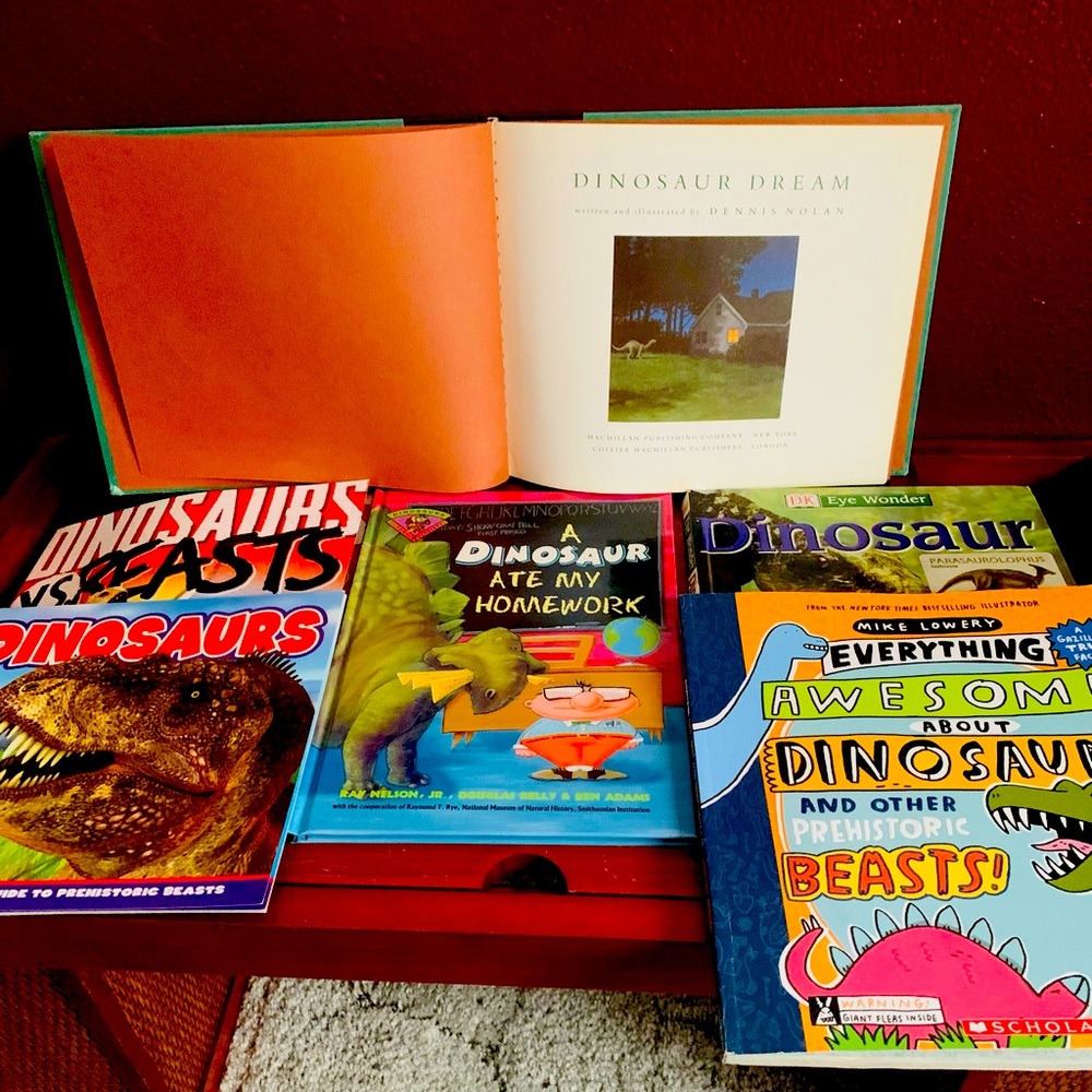 Dinosaur Book Collection: 6 Books , 2 NEW, 3 Hardcover , Gorgeous Illustrations